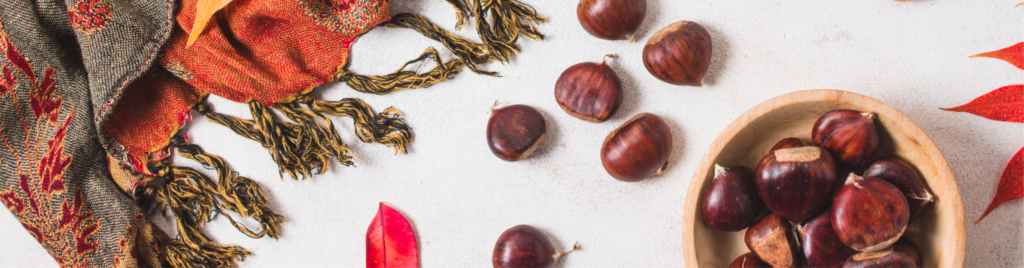 شال و روسری یک آیتم مهم در استایل هر خانم ایرانی